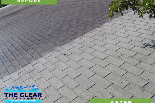 The Best Value Roof Cleaning in Auburn & Opelika, AL