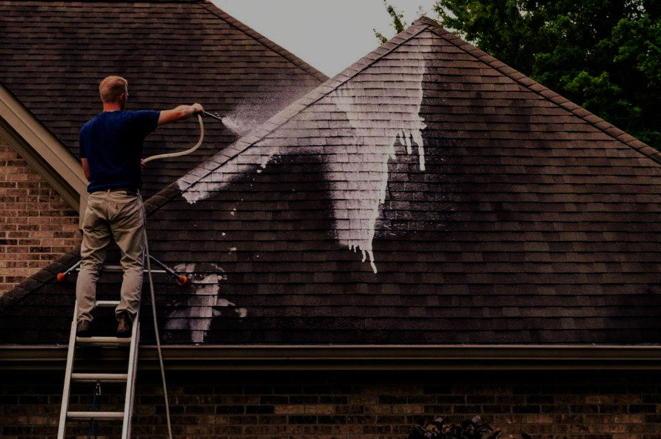 Roof Cleaning 101 Why You Might Not Need a New Roof The Clear Difference