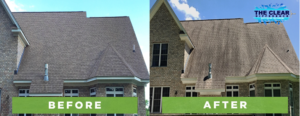 auburn alabama roof cleaners