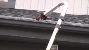 the best gutter cleaning company in auburn alabama