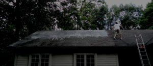 how to clean your roof