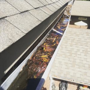 local small business that cleans gutters