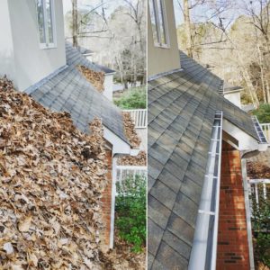 gutter cleaning company in auburn opelika lake martin alabama